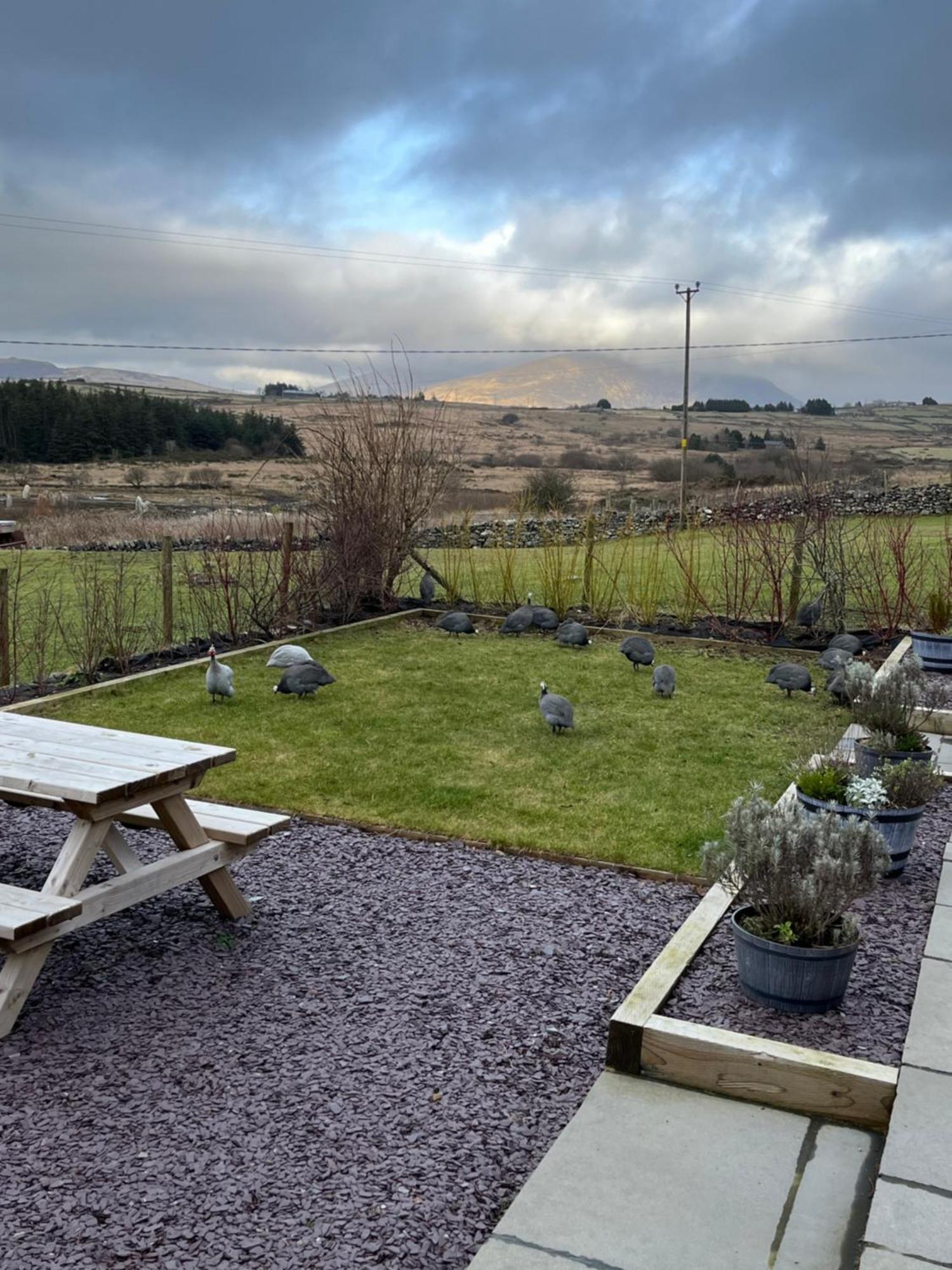 Hedd Wen Villa Llanllyfni Exterior photo